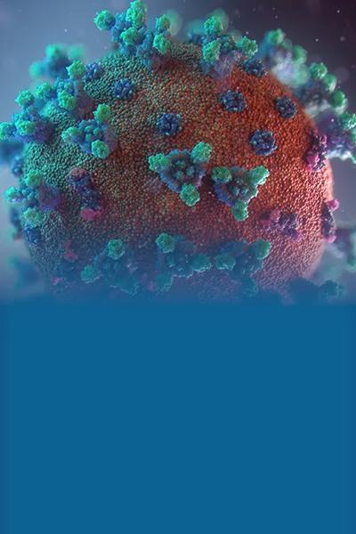 Coronavirus-Slider-400×600-1_51.jpeg